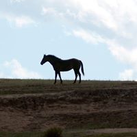 Mary Novacek Photo 1