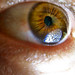 Richard Lash Photo 31