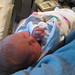 Evan Nolan Photo 40