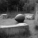 Andrew Rothwell Photo 28