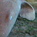Ann Kolb Photo 33