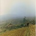 Giang Hoang Photo 37