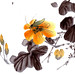 Meng Zhao Photo 34