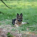 Bonnie German Photo 21