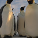 Fred Halley Photo 10