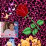 Ann Hart Photo 29