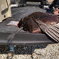 Scott Littrell Photo 5