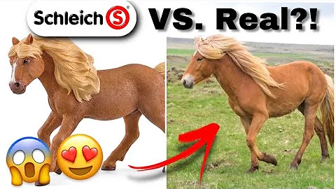 Robert Schleich Photo 20
