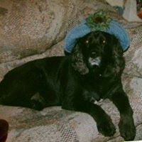Sue Laroche Photo 8