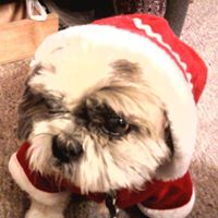 Suellen Brown Photo 8