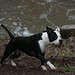 Frankie Fuller Photo 27