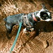Robert Parsons Photo 48