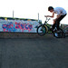 Sam Bradshaw Photo 38