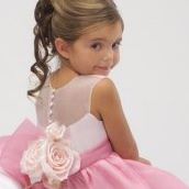 Ali Darwish Photo 2