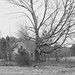 Kirk Goings Photo 16