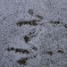 Mark Schnee Photo 22