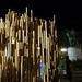 Thomas Suttles Photo 30