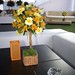 Marc Paez Photo 31