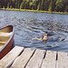 Jennifer Pond Photo 37