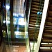 William Freund Photo 27