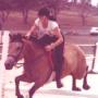 Susan Milligan Photo 24