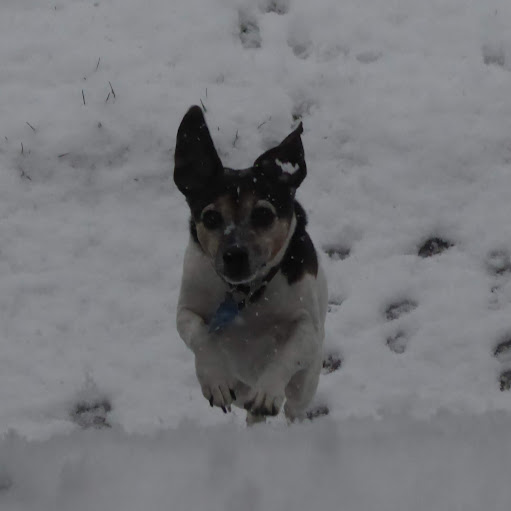 Linda Panek Photo 3