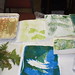 Judy Strom Photo 23
