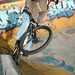 Scott Cottingham Photo 27