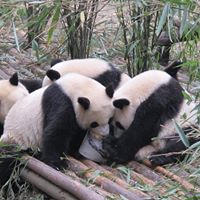 Margaret Tsai Photo 2