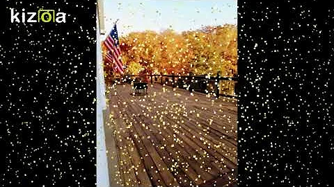 Dennis Helmuth Photo 10