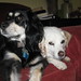 Lola Murphy Photo 37