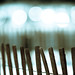 Don Cheek Photo 37