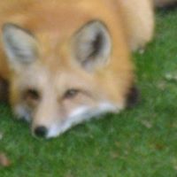 Sandra Hurd Photo 1
