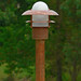 Brenda Copper Photo 14