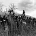 Connie Sprague Photo 28
