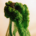 Crystal Green Photo 44