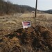 Sherrod Brown Photo 27