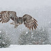 Christopher Blizzard Photo 20