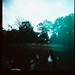 Diana Custer Photo 28