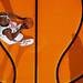 Anthony Tolliver Photo 35