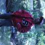Michael Lazo Photo 26