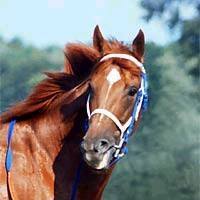 Karen Clymer Photo 5
