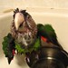 Frank Bathe Photo 15