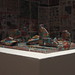 Cecilia Sullivan Photo 41