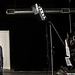 Paolo Pesce Photo 23