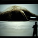 Douglas Gordon Photo 48