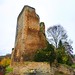 Richard Castillon Photo 22