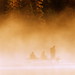 Peter Castor Photo 19