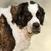 Judy Gentile Photo 27