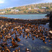 Thomas Kelp Photo 13